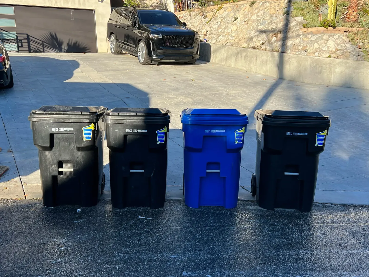 Clean bins lined up on a driveway after service